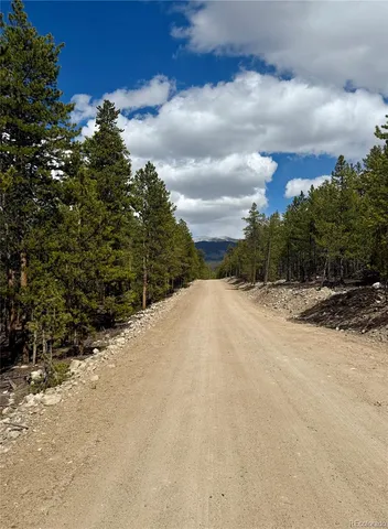 a view of outdoor space yard and entertaining space
