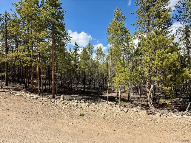 a view of a yard covered in snow