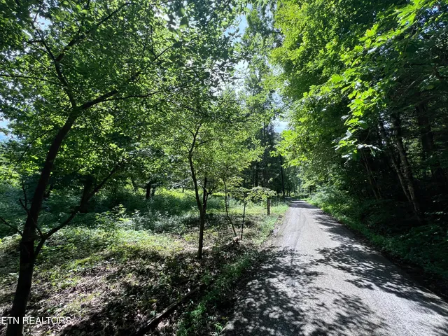 $250,000 | 119 Wagon Hollow Road, Middlesboro, KY 40965