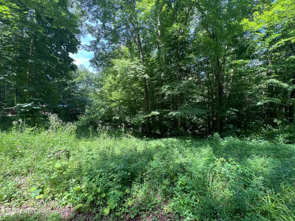 $250,000 | 119 Wagon Hollow Road, Middlesboro, KY 40965