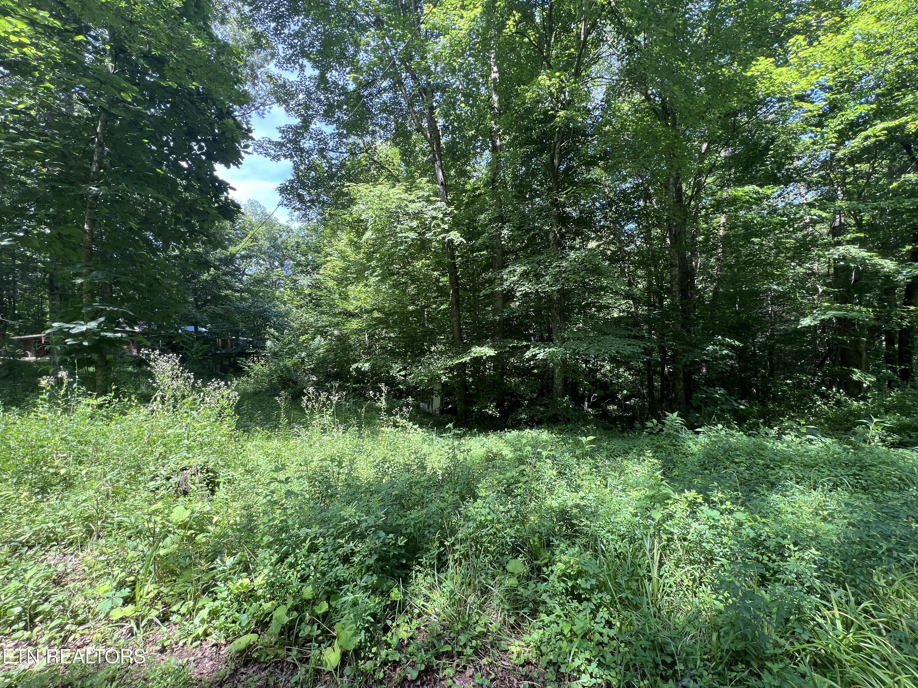119 Wagon Hollow Road Middlesboro, KY 40965 - Photo 11 of 51 IMG_2875