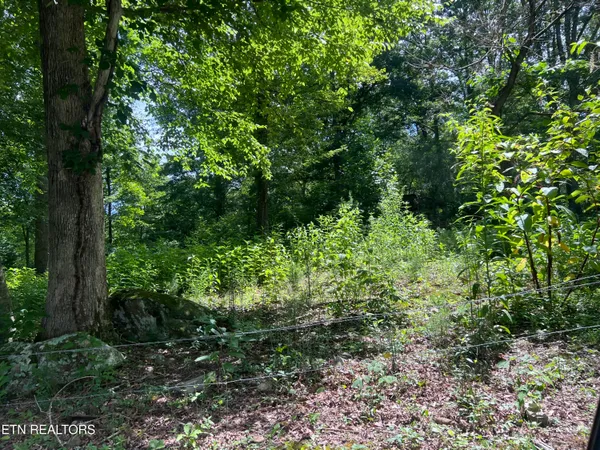 $250,000 | 119 Wagon Hollow Road, Middlesboro, KY 40965