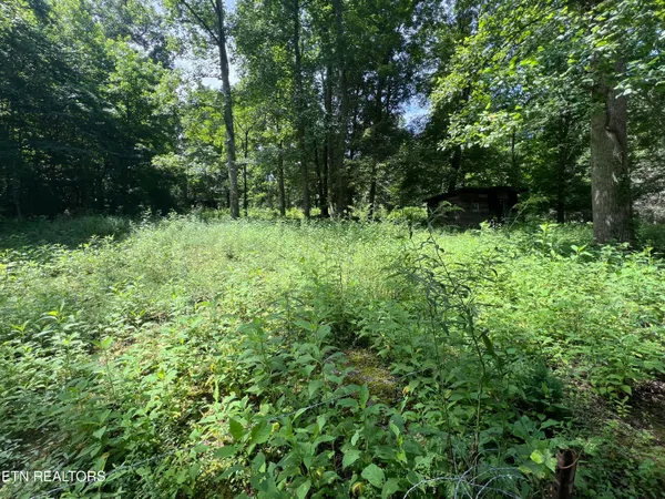 $250,000 | 119 Wagon Hollow Road, Middlesboro, KY 40965
