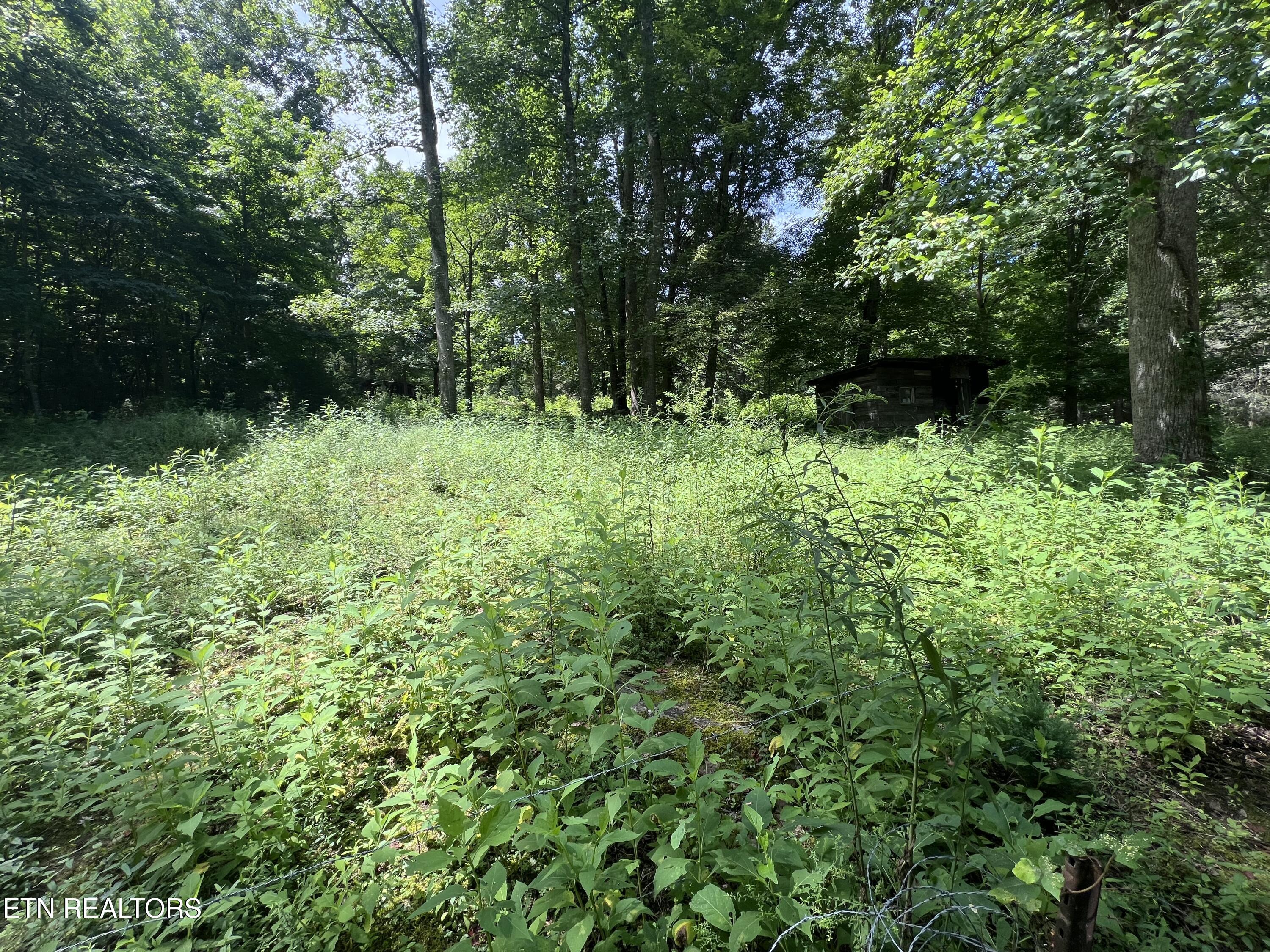 119 Wagon Hollow Road Middlesboro, KY 40965 - Photo 13 of 51 IMG_2870