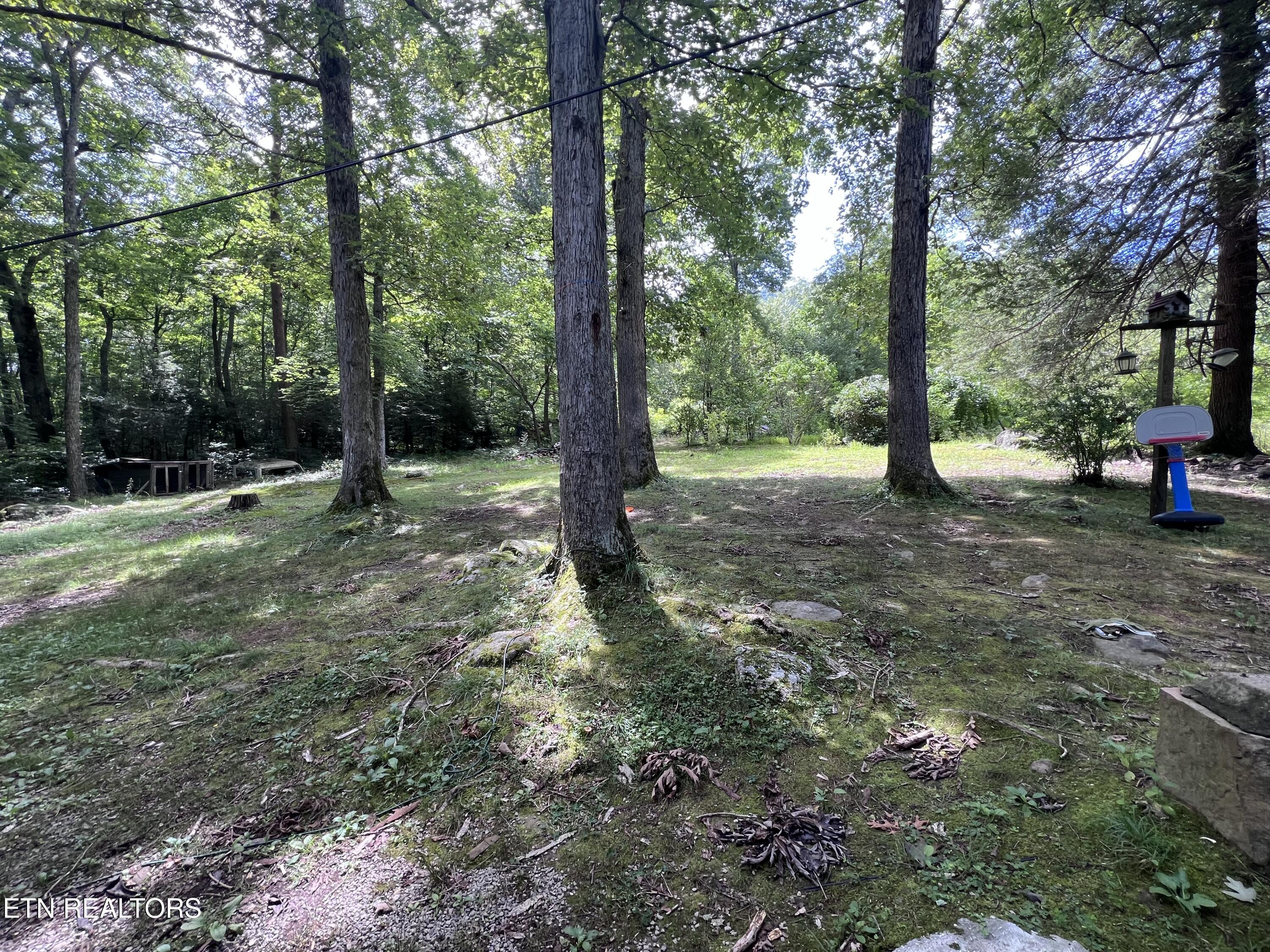 119 Wagon Hollow Road Middlesboro, KY 40965 - Photo 15 of 51 IMG_2843