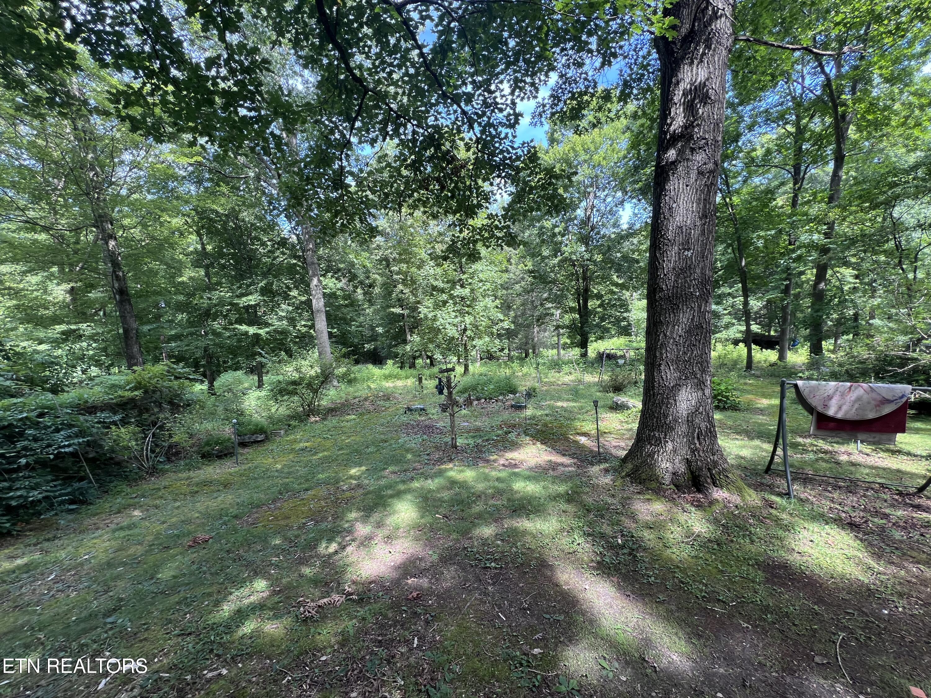 119 Wagon Hollow Road Middlesboro, KY 40965 - Photo 16 of 51 IMG_2846