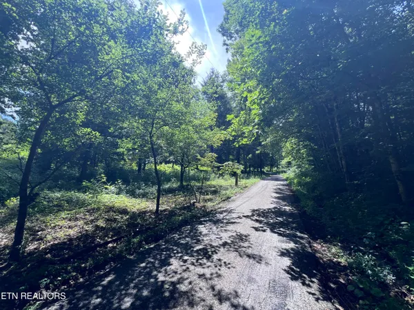 $250,000 | 119 Wagon Hollow Road, Middlesboro, KY 40965