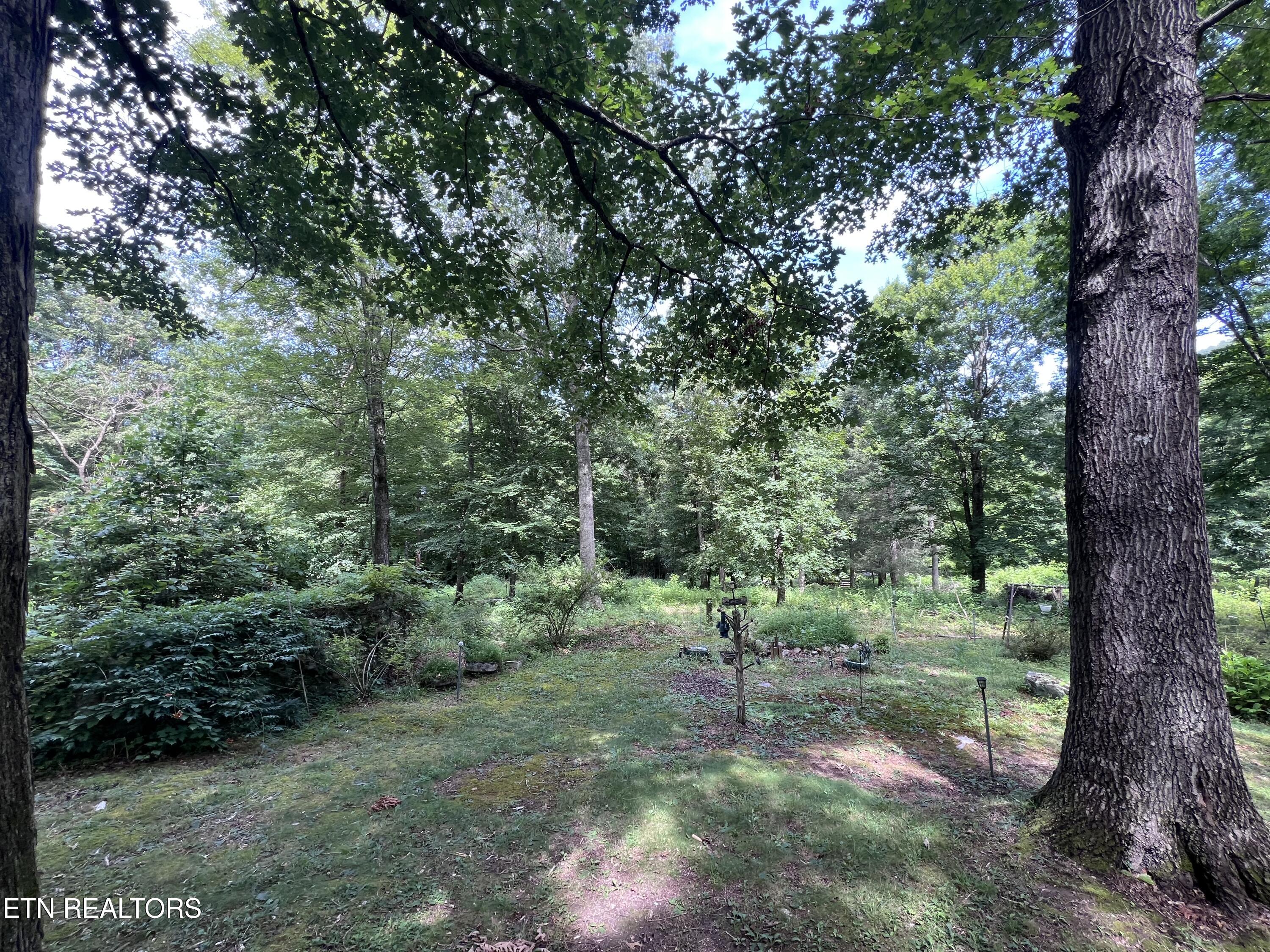 119 Wagon Hollow Road Middlesboro, KY 40965 - Photo 21 of 51 IMG_2851