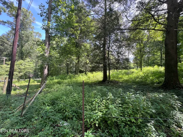 $250,000 | 119 Wagon Hollow Road, Middlesboro, KY 40965