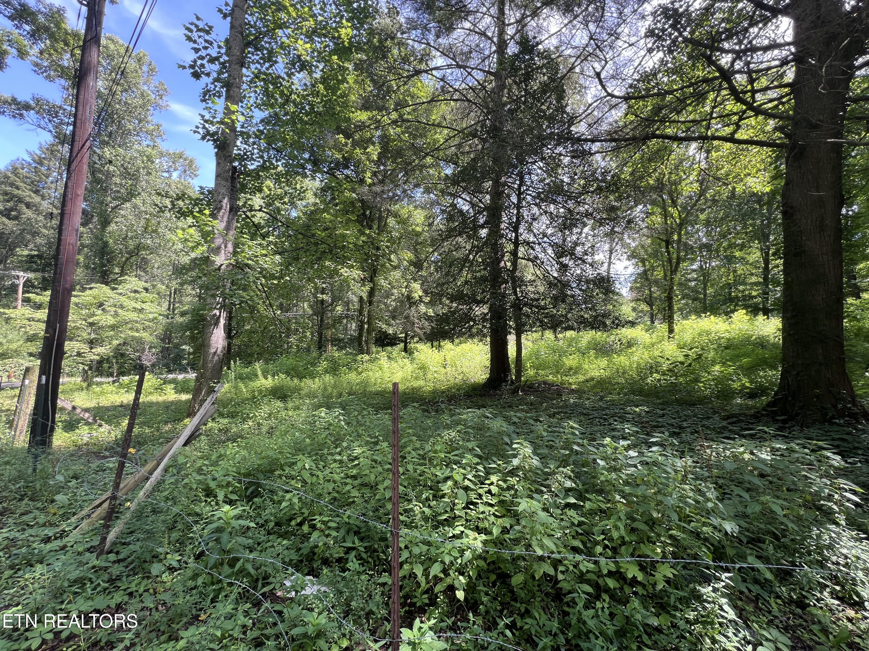 119 Wagon Hollow Road Middlesboro, KY 40965 - Photo 3 of 51 IMG_2883