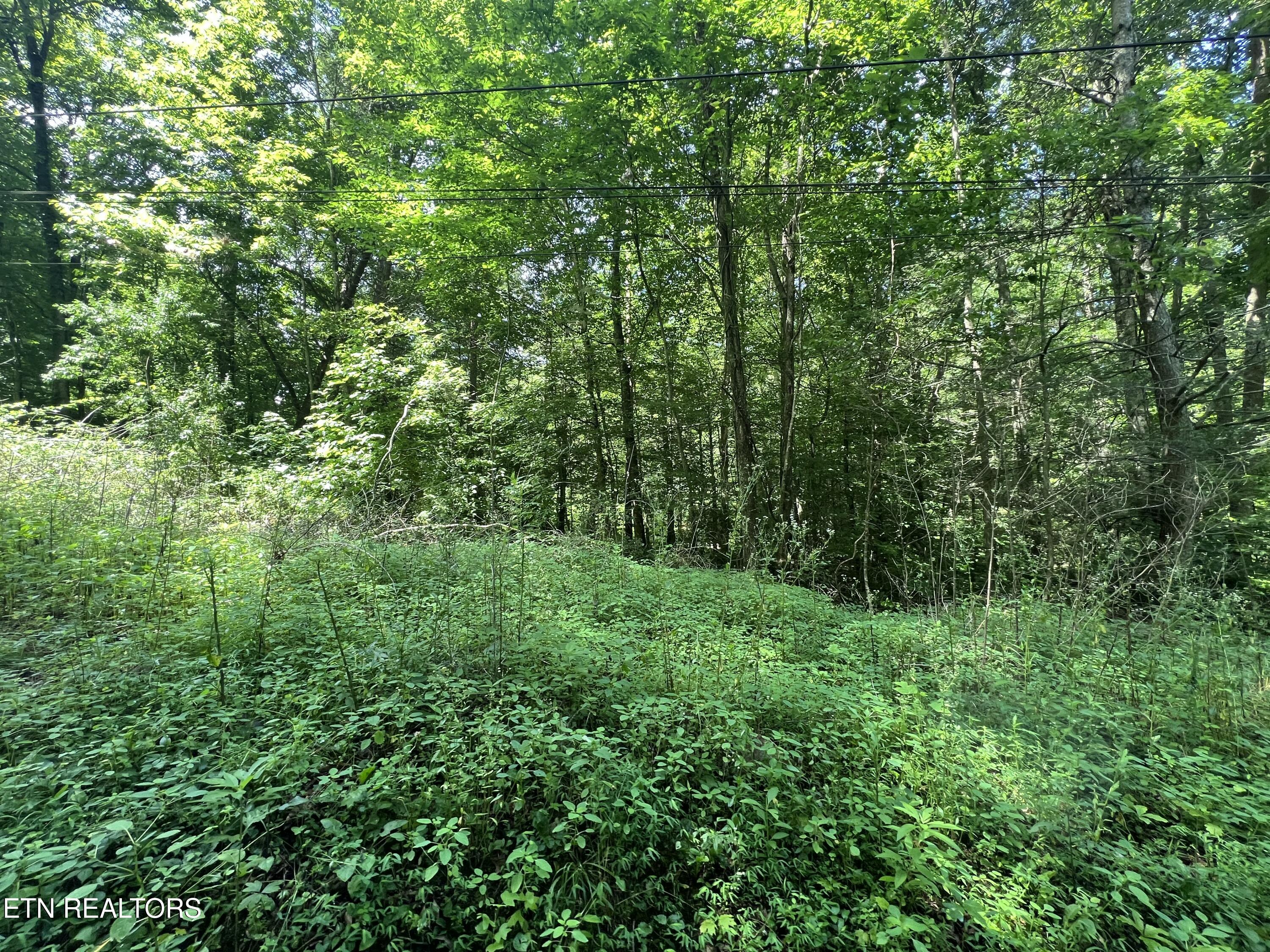 119 Wagon Hollow Road Middlesboro, KY 40965 - Photo 5 of 51 IMG_2880