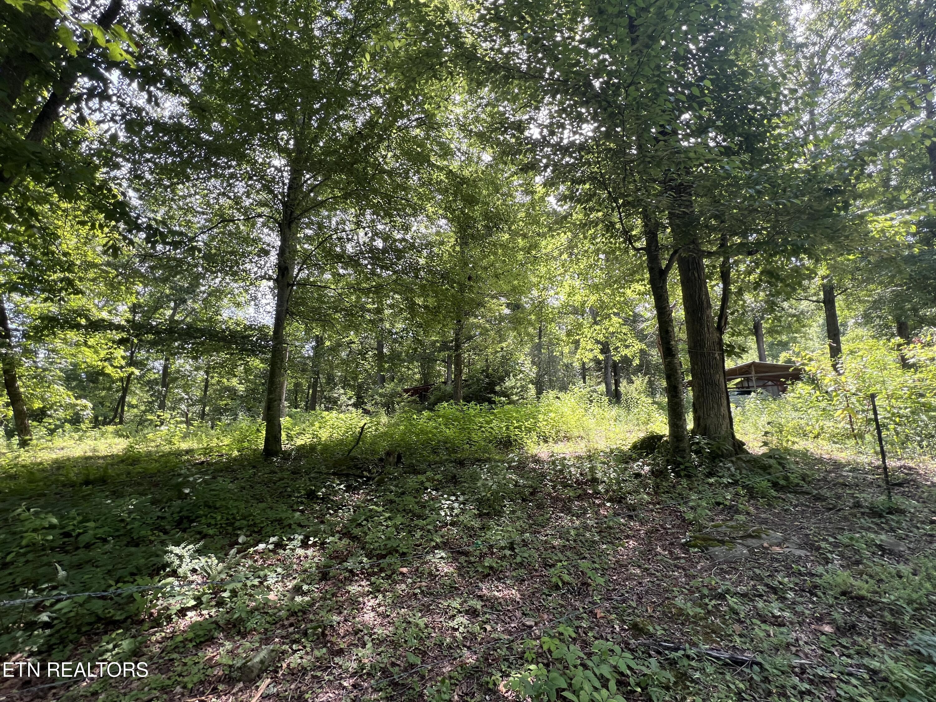 119 Wagon Hollow Road Middlesboro, KY 40965 - Photo 6 of 51 IMG_2879