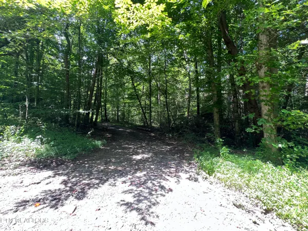 $250,000 | 119 Wagon Hollow Road, Middlesboro, KY 40965