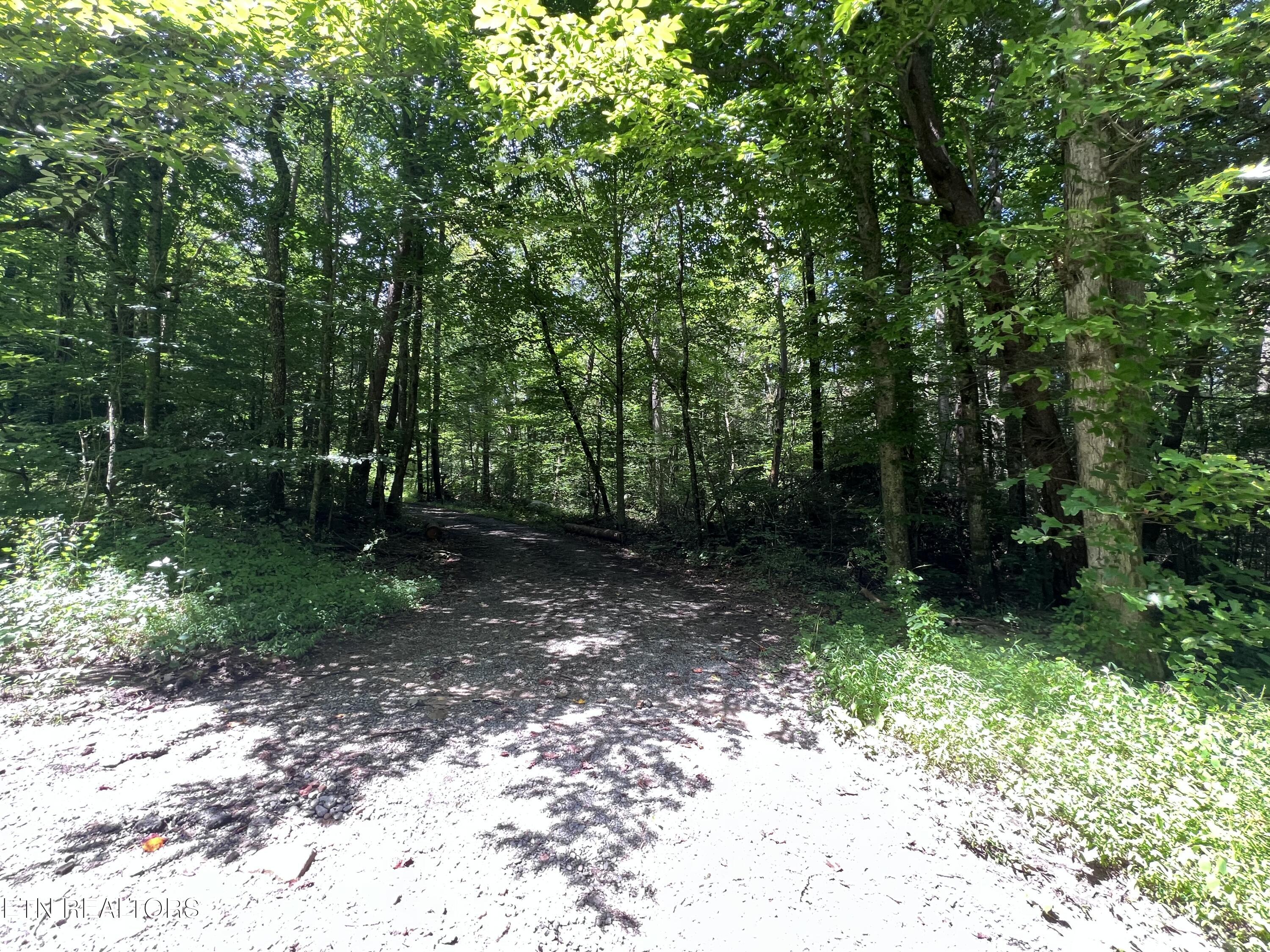 119 Wagon Hollow Road Middlesboro, KY 40965 - Photo 7 of 51 IMG_2881