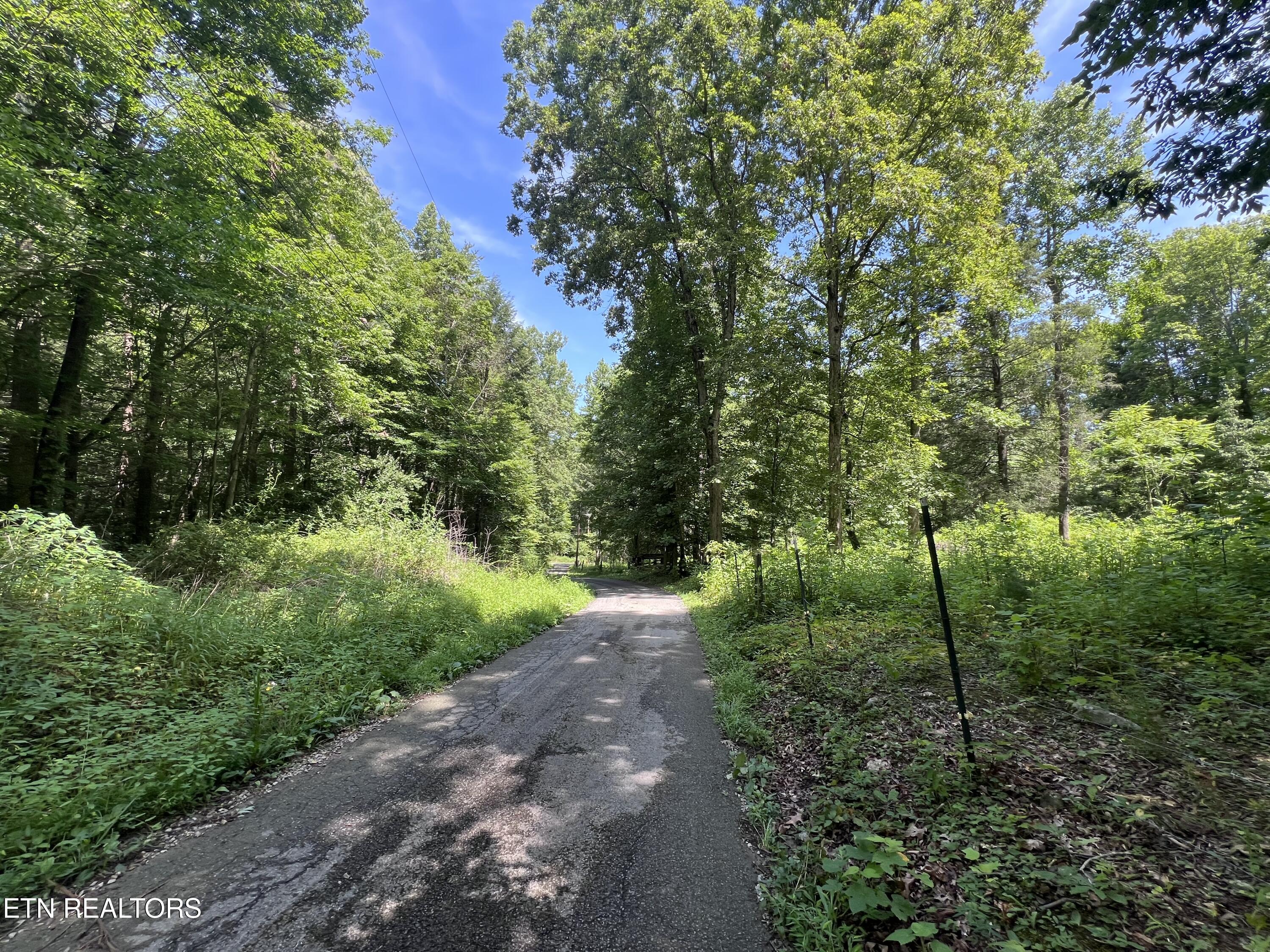 119 Wagon Hollow Road Middlesboro, KY 40965 - Photo 8 of 51 IMG_2878