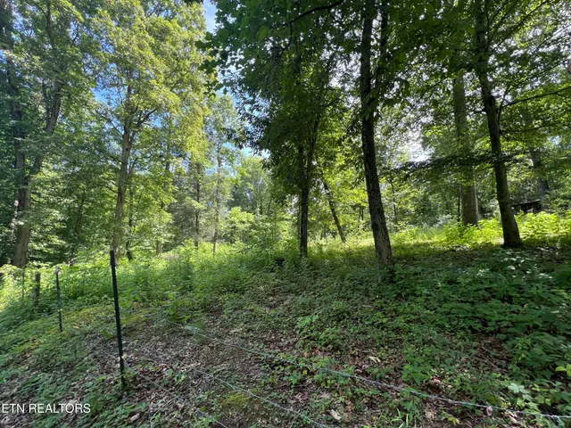 $250,000 | 119 Wagon Hollow Road, Middlesboro, KY 40965