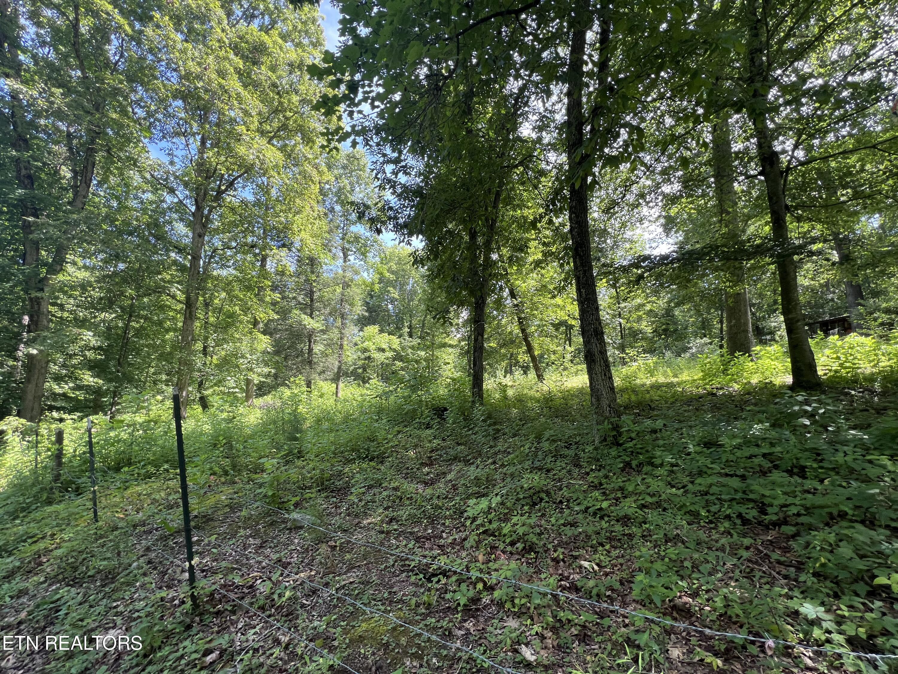 119 Wagon Hollow Road Middlesboro, KY 40965 - Photo 9 of 51 IMG_2877