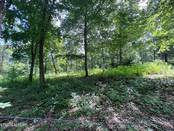 $250,000 | 119 Wagon Hollow Road, Middlesboro, KY 40965