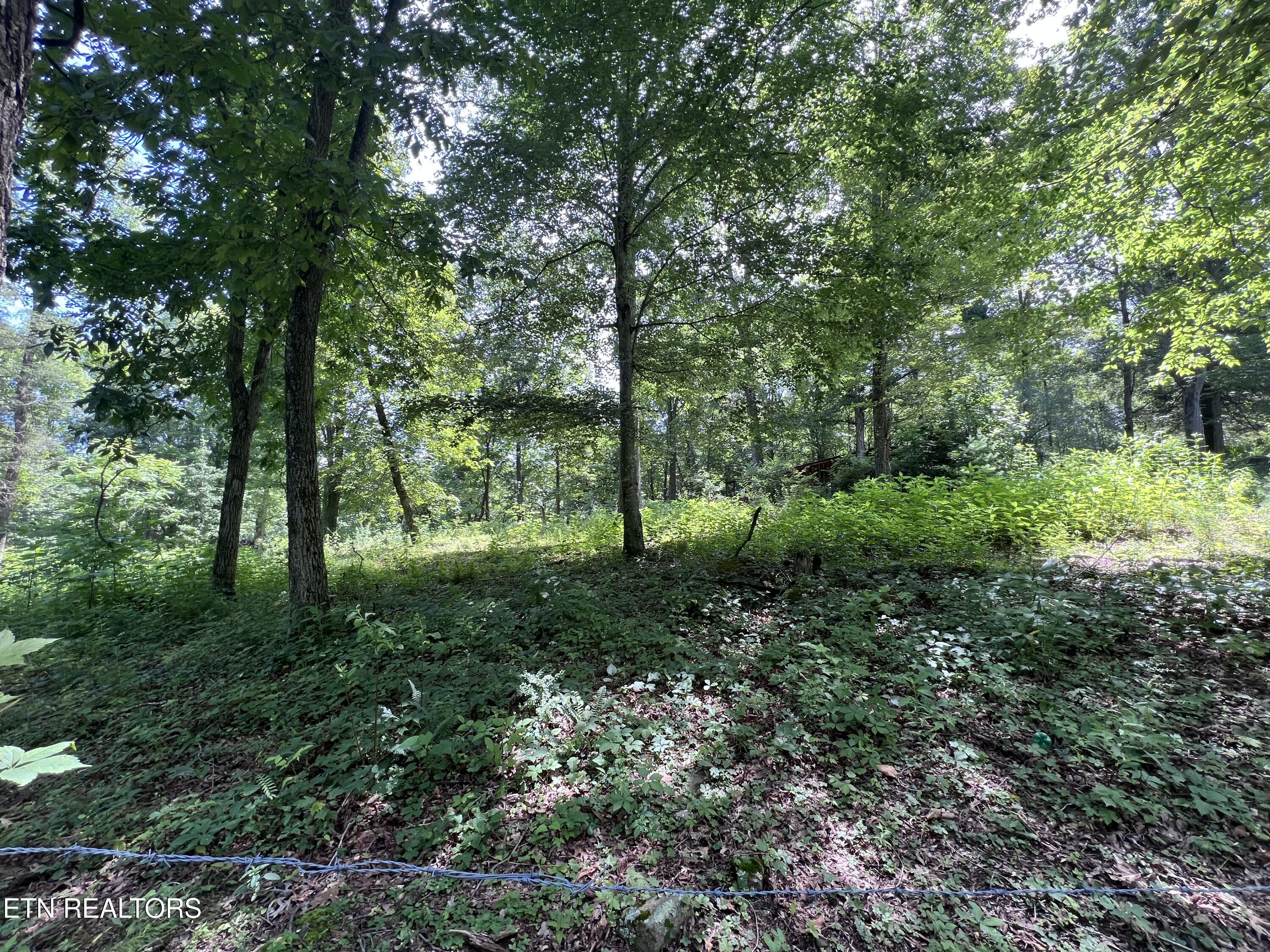 119 Wagon Hollow Road Middlesboro, KY 40965 - Photo 10 of 51 IMG_2876