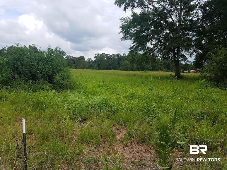 0 Baggett Loop Brewton, AL 36426 - Photo 1 of 1