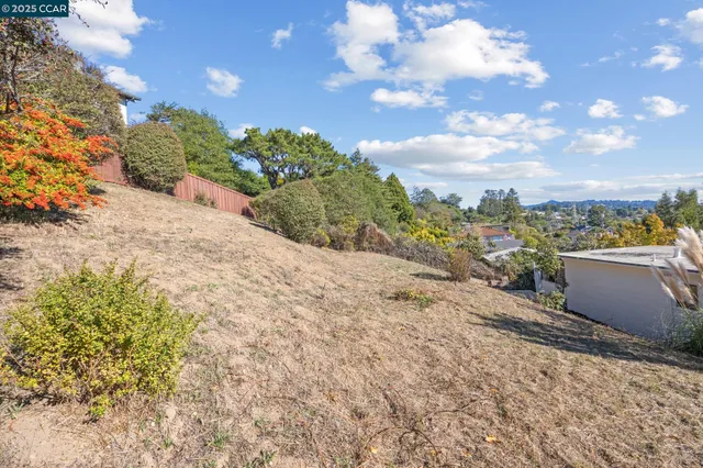 a view of a yard with flower plants and wooden fence