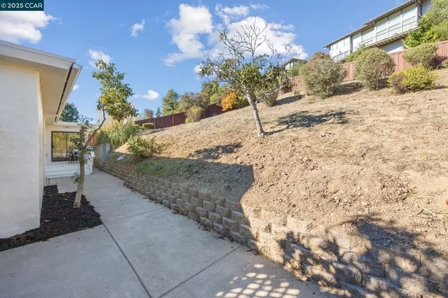 a view of a yard with a pathway
