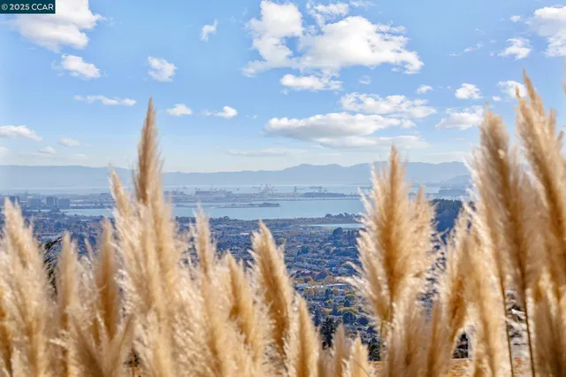 a view of a city with flower plants