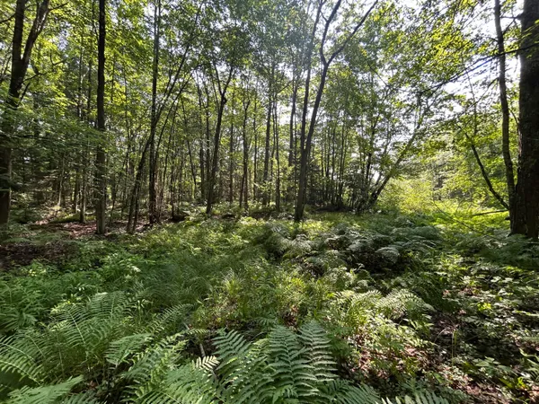 $62,500 | Lot 14 Mechanic Falls Road, Poland, ME 04274