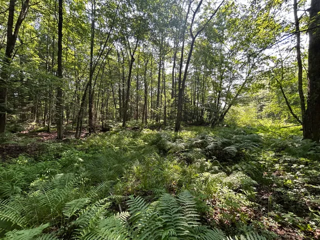 $62,500 | Lot 14 Mechanic Falls Road, Poland, ME 04274