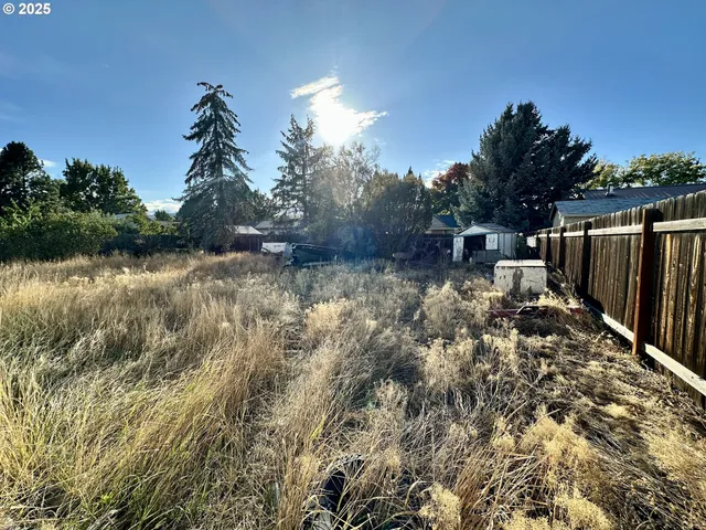 a view of a backyard of the house