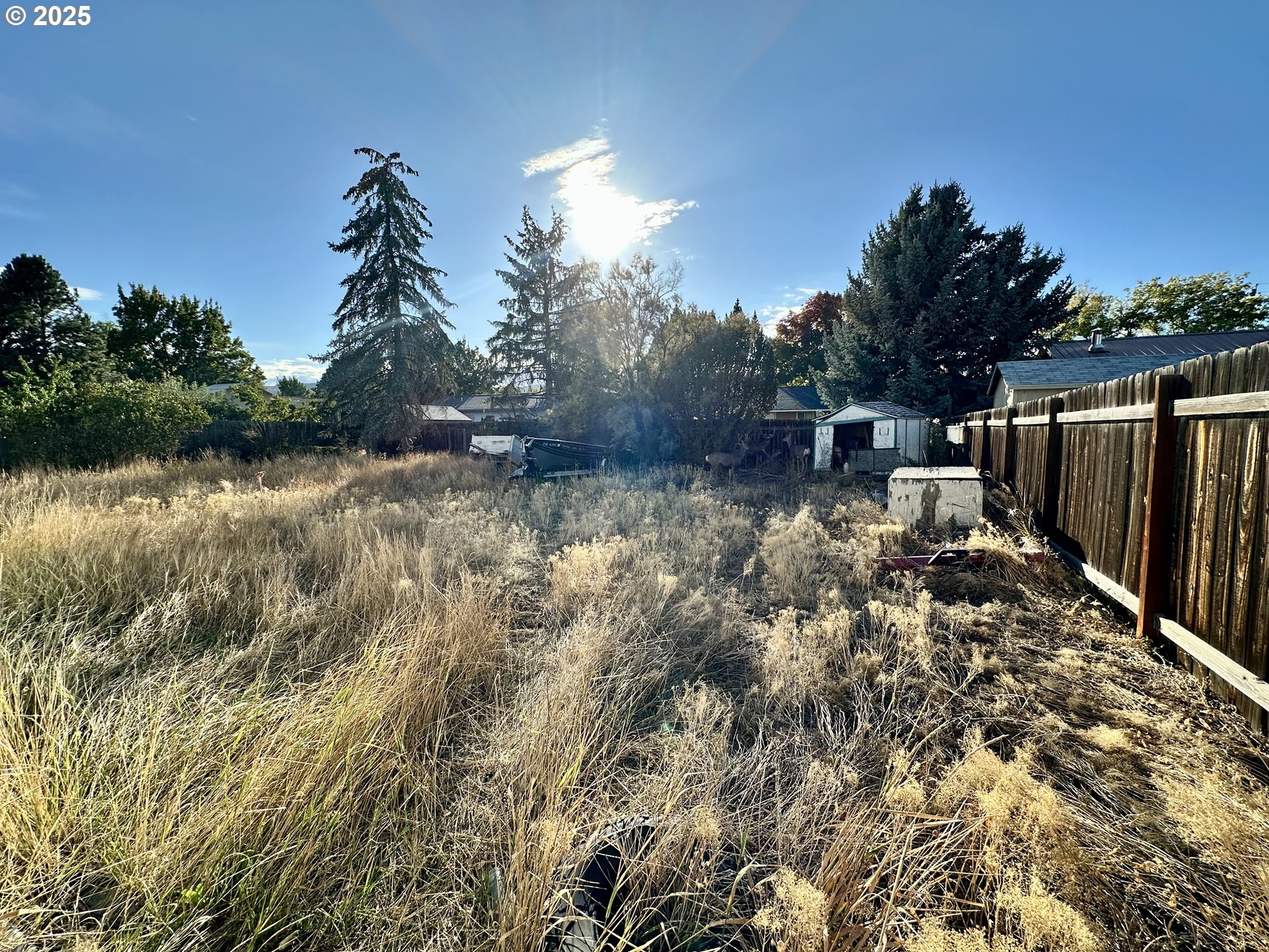 3055 Grove Street Baker City, OR 97814 - Photo 14 of 16