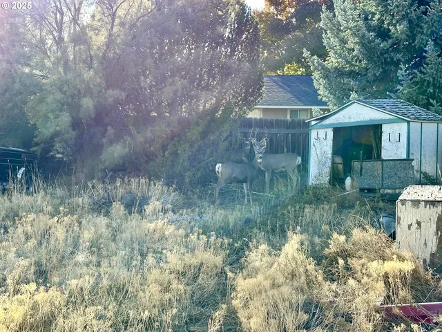a view of a small yard and a fountain