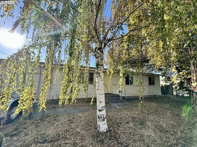 a view of a house with a yard and tree s