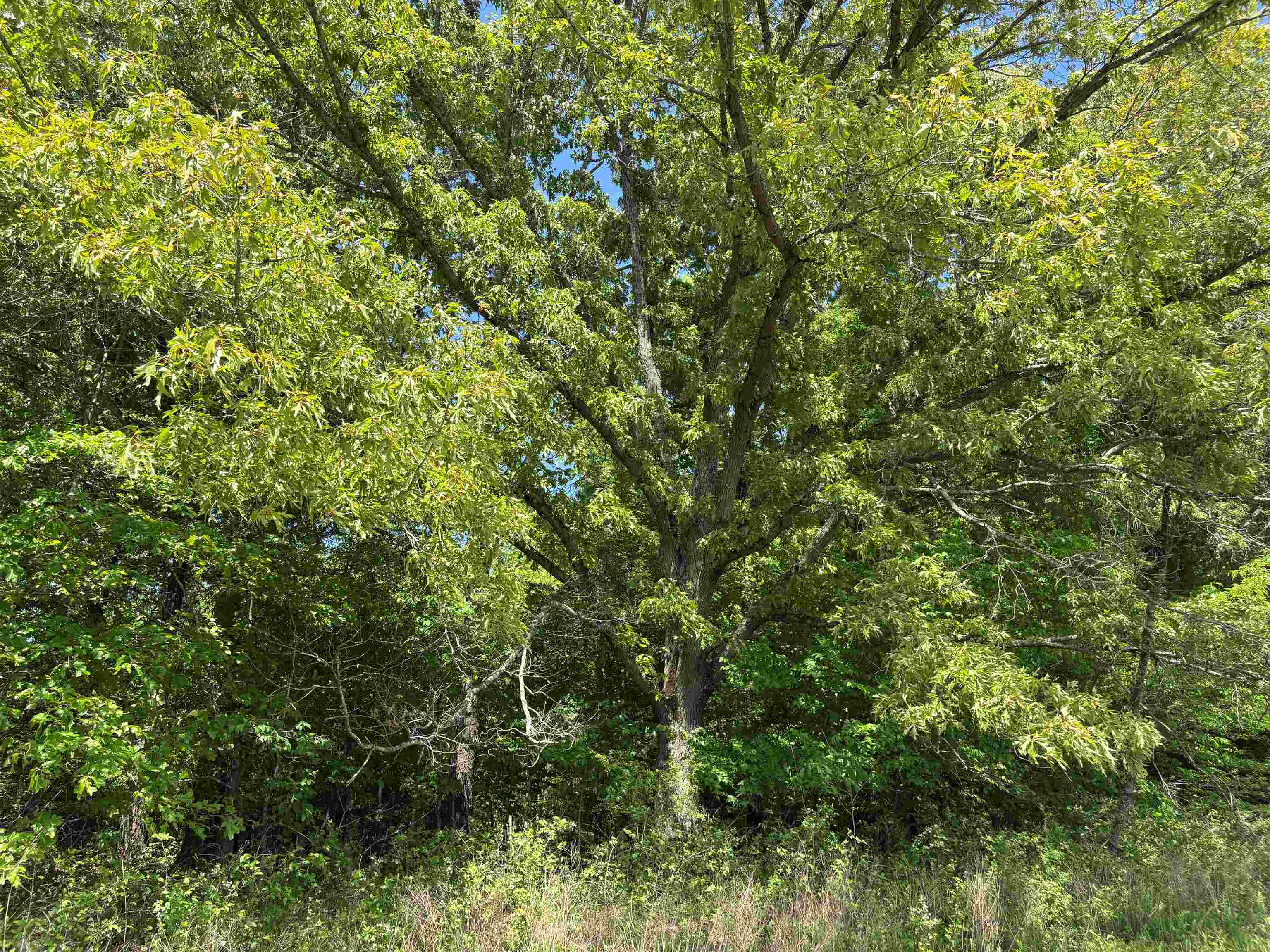 0 Osborntown Road, Unit 30 Arlington, TN 38002 - Photo 16 of 20