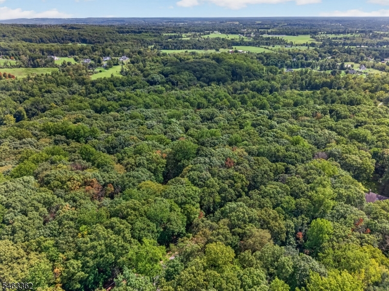 4 Hartpence Road Milford, NJ 08848 - Photo 18 of 19 Gallery Image 18