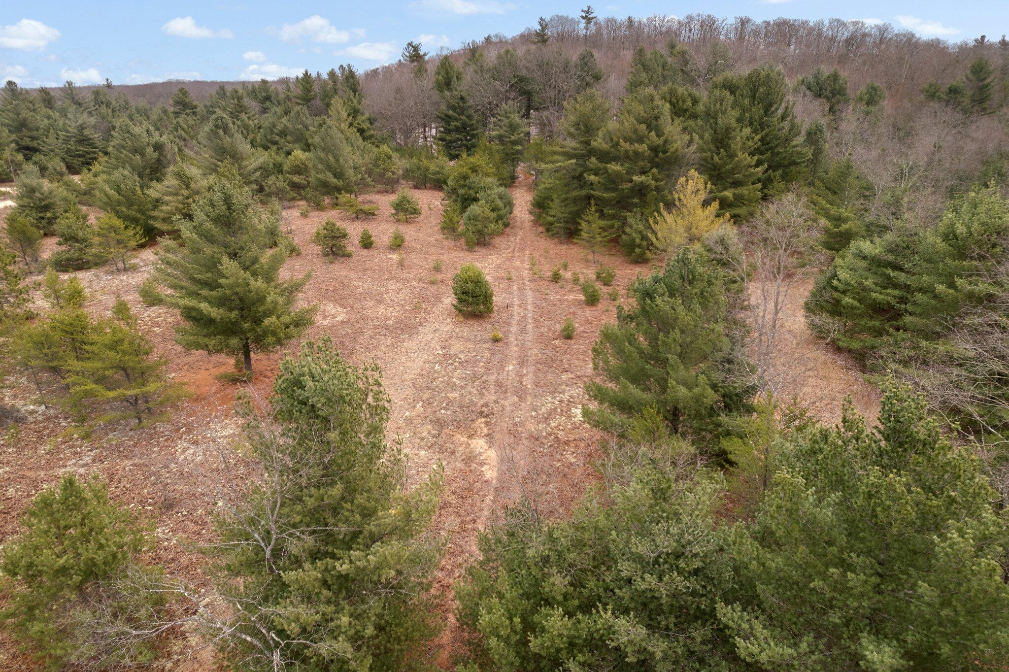 2 West 48 Road Cadillac, MI 49601 - Photo 11 of 14 6-web-or-mls-DJI_0041