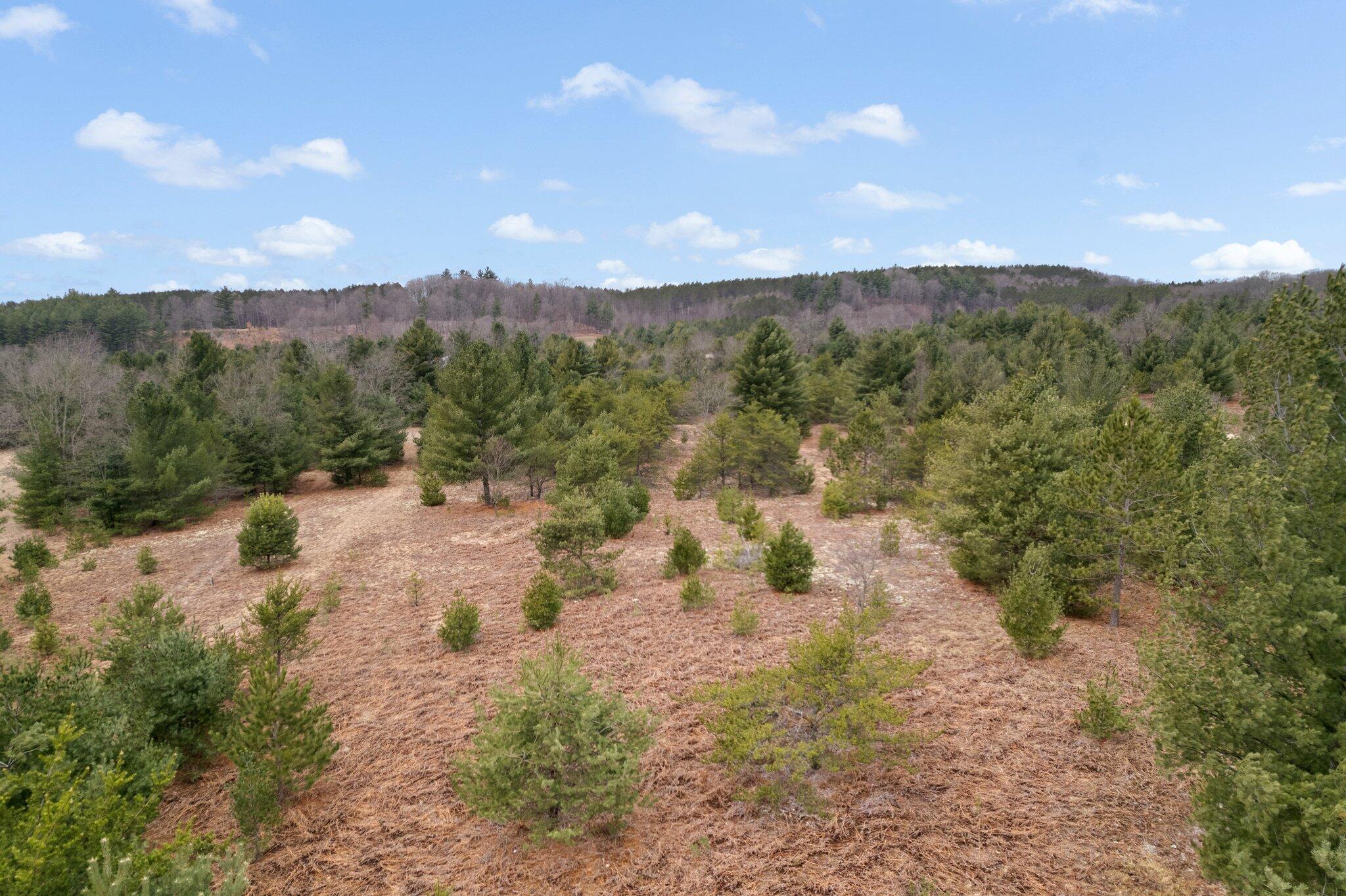 2 West 48 Road Cadillac, MI 49601 - Photo 13 of 14 8-web-or-mls-DJI_0043