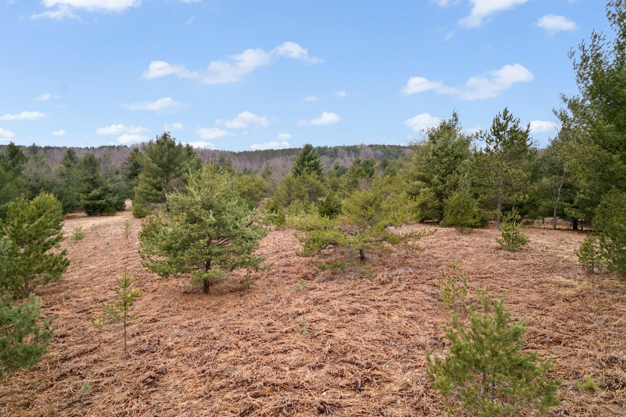 2 West 48 Road Cadillac, MI 49601 - Photo 14 of 14 9-web-or-mls-DJI_0044