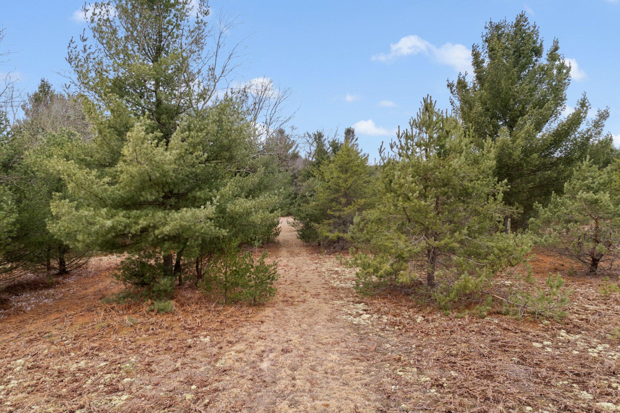 2 West 48 Road Cadillac, MI 49601 - Photo 3 of 14 10-web-or-mls-DJI_0045