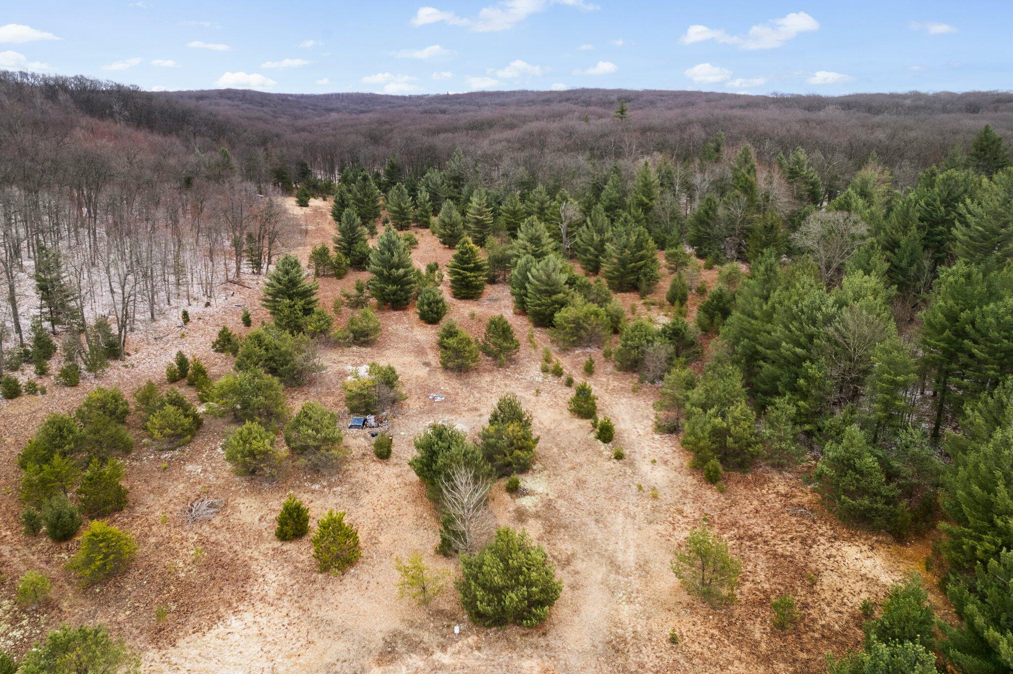 2 West 48 Road Cadillac, MI 49601 - Photo 5 of 14 28-web-or-mls-DJI_0063