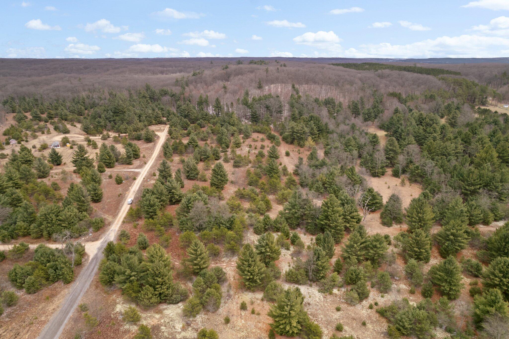 2 West 48 Road Cadillac, MI 49601 - Photo 7 of 14 2-web-or-mls-DJI_0037