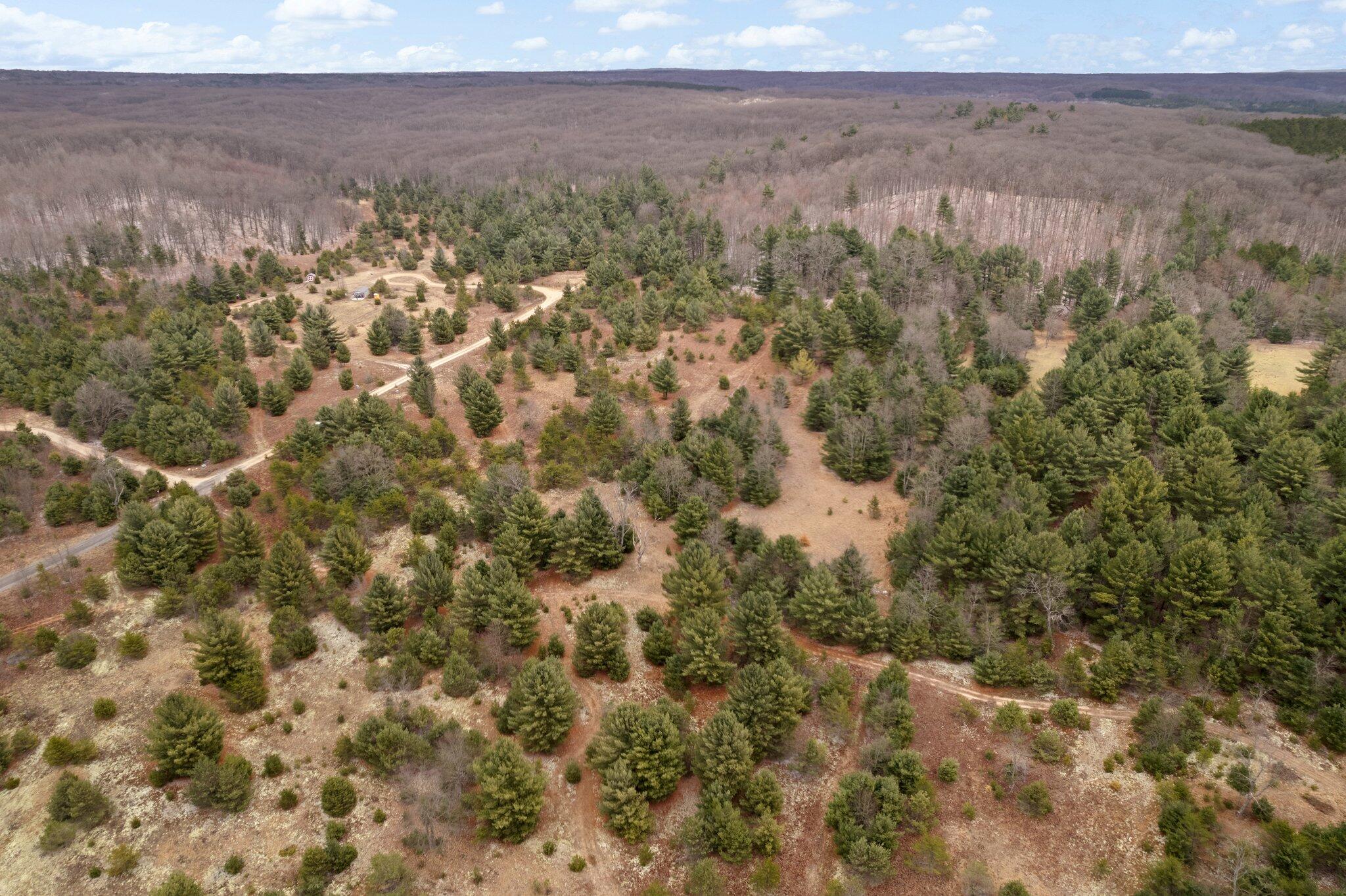 2 West 48 Road Cadillac, MI 49601 - Photo 8 of 14 3-web-or-mls-DJI_0038