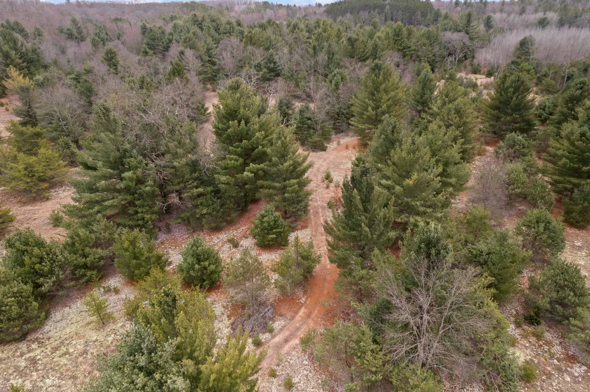 2 West 48 Road Cadillac, MI 49601 - Photo 10 of 14 5-web-or-mls-DJI_0040