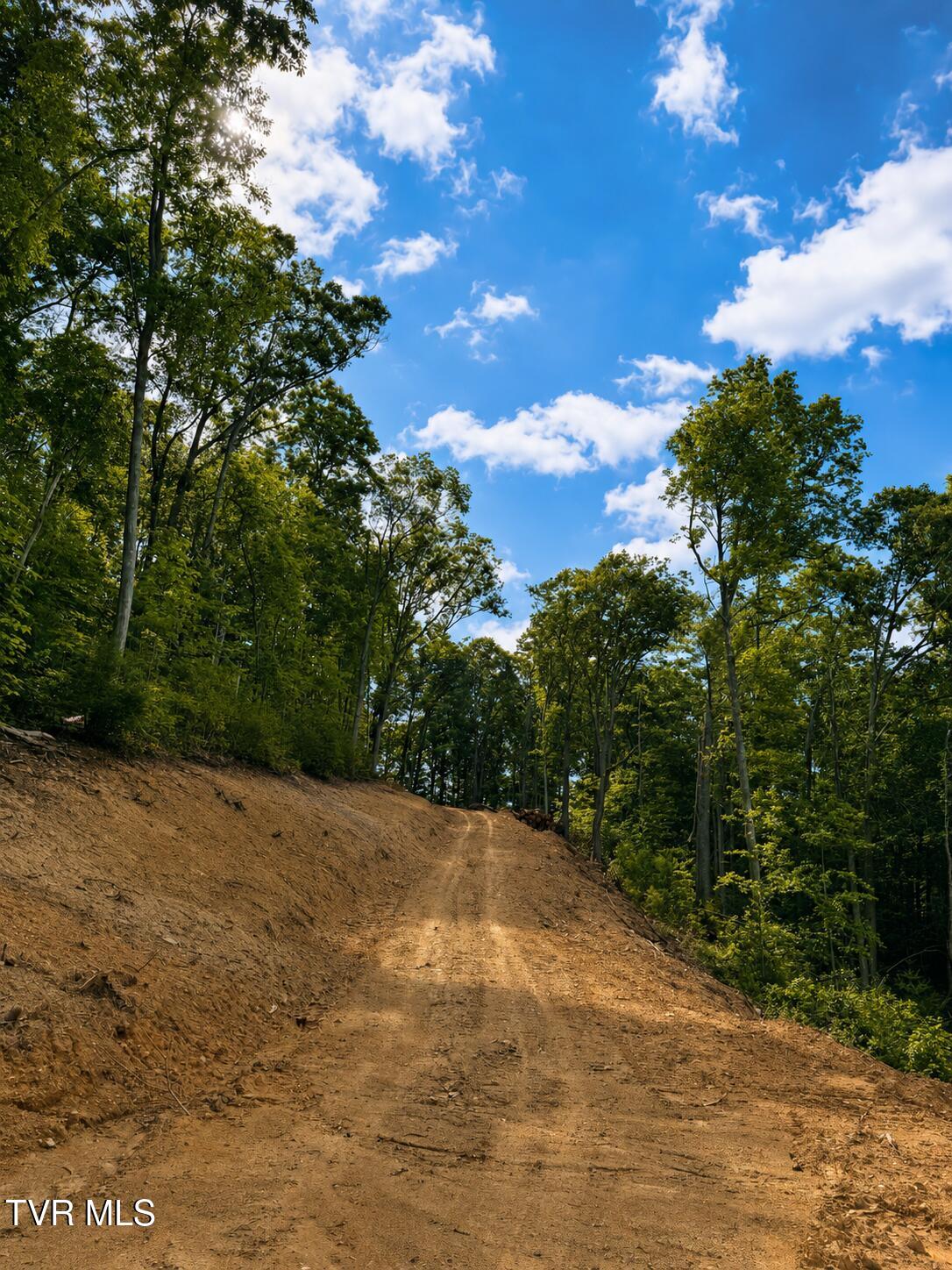 Tbd Heaton Branch Road Butler, TN 37640 - Photo 3 of 9 1FD64FF7-5E5C-4D1A-ACC0-1249B591E3EC
