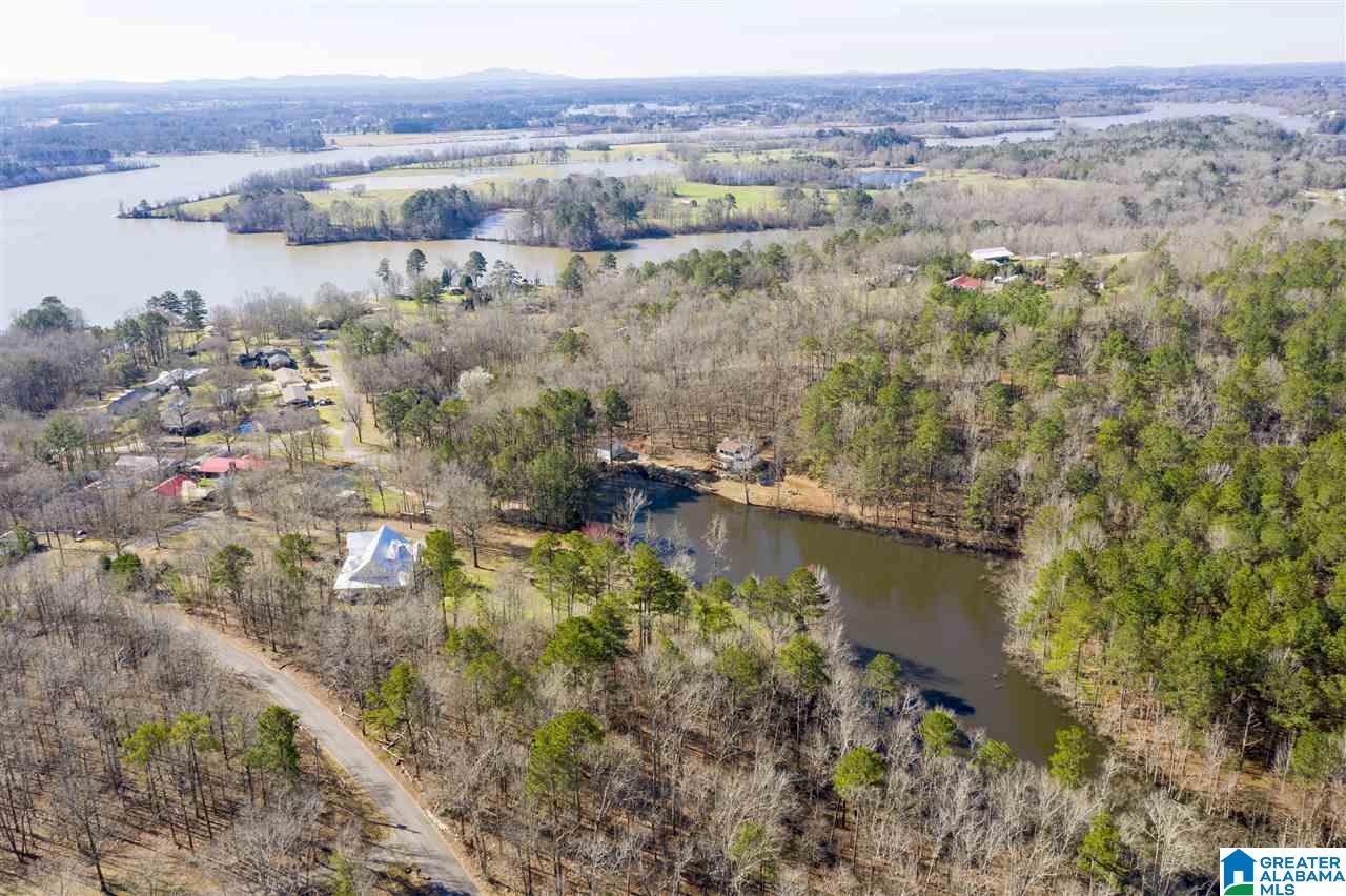 593 Lock 4 Road Riverside, AL 35135 - Photo 42 of 49