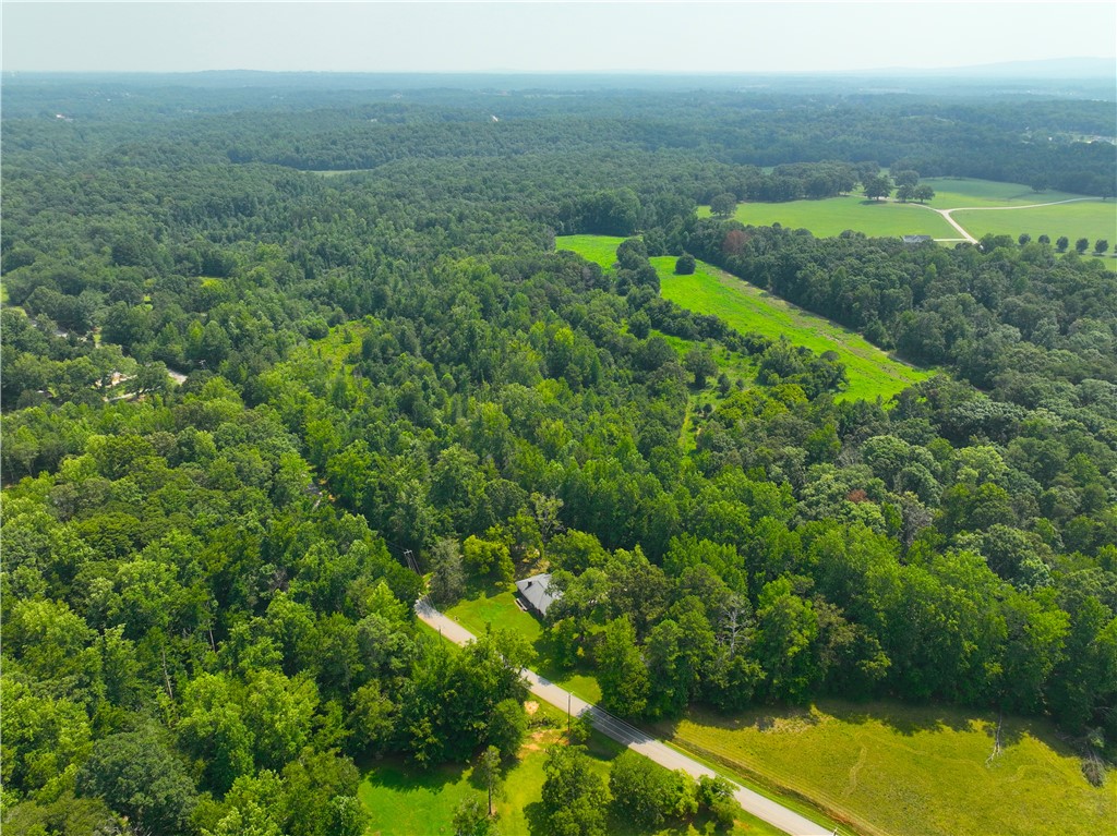 3961 Forrester Road Greer, SC 29651 - Photo 18 of 36 Gallery Image 18