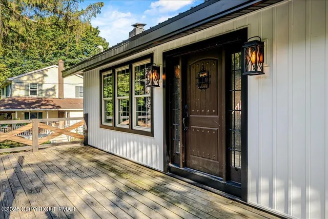 a view of a forest with trees