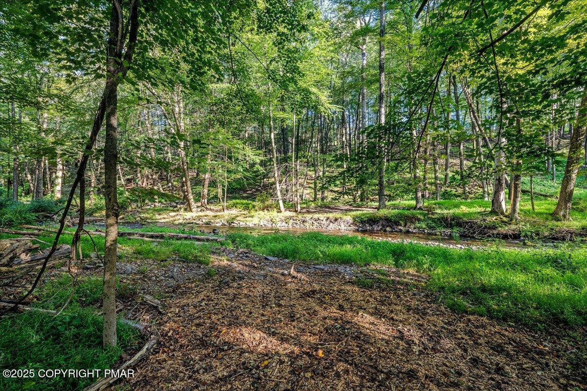 262 Lower Swiftwater Road Cresco, PA 18326 - Photo 47 of 50 a view of park