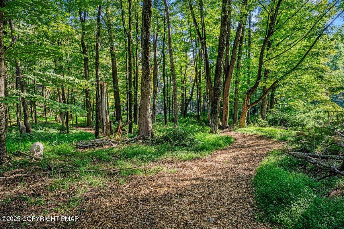 262 Lower Swiftwater Road Cresco, PA 18326 - Photo 8 of 50 a view of a yard with large trees