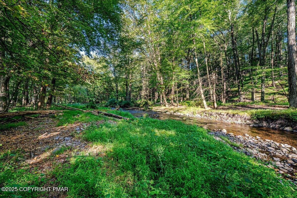 262 Lower Swiftwater Road Cresco, PA 18326 - Photo 10 of 50 11-HomeView_Media-262_Lower_Swiftwater_R